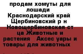 продам хомуты для лошади - Краснодарский край, Щербиновский р-н, Новощербиновская ст-ца Животные и растения » Аксесcуары и товары для животных   